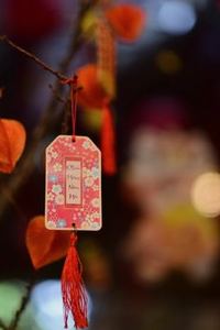 phản hồi Sodo
